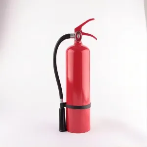 product-300-300