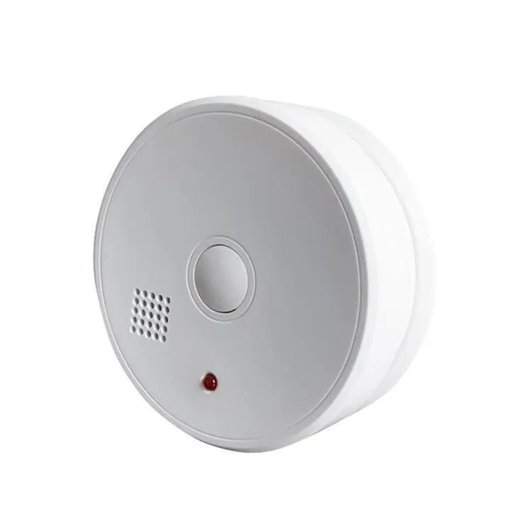 stand-alone-co-alarm-detector16560132010